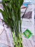 花翁富貴竹水培綠植物招財轉運室內水養花卉盆栽85-95cm10棵源頭直發(fā) 曬單實(shí)拍圖
