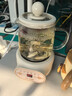 小南瓜養生壺多功能全自動(dòng)煮茶器迷你家用燒水壺電熱水壺恒溫壺茶壺家電茶壺燒水器小型一人煮水壺玻璃壺 0.5L-標準款 0.5L 曬單實(shí)拍圖