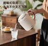榮事達（Royalstar）燒水壺電熱水壺復古恒溫壺保溫壺煮水壺大容量1升家用泡茶辦公飲水速熱高顏值便攜304不銹鋼KT1078 曬單實(shí)拍圖