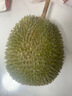 鮮級佳(樹(shù)熟即食榴蓮)馬來(lái)西亞進(jìn)口老樹(shù)黑刺榴蓮嫁接果整顆貓山王金枕 【臻品AA級】4.5-5.01斤【保4-5房 當季 曬單實(shí)拍圖