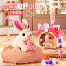 益米兒童女孩過(guò)家家玩具電動(dòng)毛絨兔子寵物玩偶3-6歲兒童玩具生日禮物 曬單實(shí)拍圖