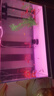 森森（SUNSUN） 超白玻璃小魚(yú)缸客廳小型桌面家用水族箱生態(tài)免換水金魚(yú)缸 HE800黑色 內置棉濾材(物流發(fā)貨) 曬單實(shí)拍圖