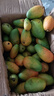 京喜加海南臺芒新鮮芒果生鮮水果時(shí)令鮮果 凈重9斤70+ 曬單實(shí)拍圖
