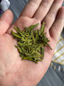 獅西湖龍井茶50g 明前特級龍井2026新茶預售禮盒西湖產(chǎn)區小泡袋綠茶 曬單實(shí)拍圖