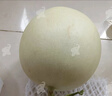 海南玉菇甜瓜 3/5/9斤香甜軟糯口感現摘現發(fā)新鮮水果產(chǎn)地白瓜整箱 凈重8.5-9斤【3-5個(gè)瓜】 曬單實(shí)拍圖