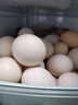 鮮雞蛋50±5克/枚 柴雞蛋農家散養笨雞蛋 新鮮雞蛋 30枚 曬單實(shí)拍圖