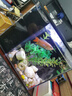 YEE魚(yú)缸一體式成品桌面水族魚(yú)缸客廳辦公室小型超迷你生態(tài)水族箱 迷你桌面缸 S 無(wú)規格 曬單實(shí)拍圖