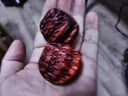 小葉紫檀核桃生肖木雕手球木質(zhì)按摩健身球沉水級保健球手把件手玩 紫檀核桃兩個(gè) 曬單實(shí)拍圖