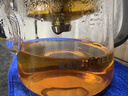 金灶（KAMJOVE） 加厚耐熱玻璃泡茶壺全玻璃內膽飄逸杯泡茶器辦公室泡茶神器茶壺 TP-902（500ml）黑色 曬單實(shí)拍圖