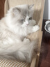 梵都寵舍貓沙發(fā)貓咪躺椅劍麻墊天然劍麻貓抓板貓窩  曬單實(shí)拍圖