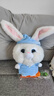 嘉百利兔老大玩偶毛絨玩具愛(ài)寵大機密兔子公仔可愛(ài)摩點(diǎn)系列娃娃生日禮物 兔老大+蘿卜+衣服 30厘米 曬單實(shí)拍圖
