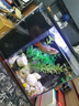 YEE魚(yú)缸一體式成品桌面水族魚(yú)缸客廳辦公室小型超迷你生態(tài)水族箱 迷你桌面缸 S 無(wú)規格 曬單實(shí)拍圖