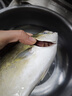 翔泰海南金鯧魚(yú)凈重900g2條裝 魚(yú)類(lèi)生鮮 海鮮水產(chǎn) 【熱賣(mài)款】 曬單實(shí)拍圖
