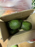 秘魯進(jìn)口哈斯牛油果 老樹(shù)奶酪牛油果 新鮮孕婦水果寶寶輔食鱷梨 單果凈重：100-130g 4粒獨享裝 曬單實(shí)拍圖