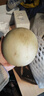 玉菇甜瓜新鮮脆甜現摘現發(fā)新鮮蜜甜甜瓜整箱 玉菇帶箱2-3斤 曬單實(shí)拍圖