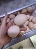 天珍牧場(chǎng)谷糧營(yíng)養鮮雞蛋 生鮮蛋類(lèi) 3.6斤30枚 節日禮盒寶寶輔食 源頭直發(fā) 曬單實(shí)拍圖