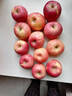 京鮮生 陜西洛川紅富士蘋(píng)果凈重5斤80-85mm 單果200g+ 源頭直發(fā) 曬單實(shí)拍圖