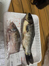 其他品牌冰鮮河鱸魚(yú)1條（原重400-500g） 曬單實(shí)拍圖