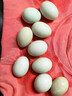 鴨蛋新鮮生鴨蛋50-60g土鴨蛋農家散養白皮青皮鴨蛋整箱批發(fā) 10枚 曬單實(shí)拍圖