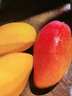 三萌果蔬芒果貴妃芒【多地次日達】當季新鮮辣椒甜心彩虹小芒果水果 5斤精選果【單果100-150g】?jì)?.5斤 曬單實(shí)拍圖
