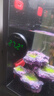 淘歌魚(yú)缸溫度計智能數顯水族專(zhuān)用精準缸外貼片水溫感應無(wú)線(xiàn)電子溫度計 曬單實(shí)拍圖