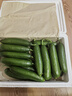 山東壽光水果黃瓜生吃脆新鮮荷蘭青瓜當季無(wú)刺小黃瓜源頭直發(fā) 精品水果黃瓜凈重 4.5斤 曬單實(shí)拍圖