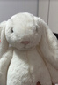 Jellycat害羞乳白色邦尼兔動(dòng)物毛絨玩偶安撫玩偶娃娃送禮生日禮物 害羞乳白色邦尼兔 Medium 曬單實(shí)拍圖