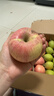 山東沂源紅富士正宗中莊蘋(píng)果整箱脆甜多汁新鮮水果當季現摘煙臺 【5.2斤】75-80mm商超中果12-14個(gè) 曬單實(shí)拍圖