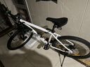 喜德盛（xds）山地自行車(chē)26款旭日310運動(dòng)健身學(xué)生青少年成人騎行變速輕便單車(chē) 26款旭日310象牙白17寸 曬單實(shí)拍圖