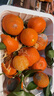 正宗廣西砂糖橘沙糖桔新鮮水果當季蜜桔桂林橘子貢柑整箱 帶箱5斤 凈重4.5斤 中小果（30-50mm） 曬單實(shí)拍圖