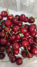 鮮級佳 車(chē)厘子美早大櫻桃【多地次日達】大連國產(chǎn)美早櫻桃水果送禮禮盒 2斤(凈重) 【聚劃算】品質(zhì)裝* 1J大果單果26-28mm【顆顆甄選】 曬單實(shí)拍圖