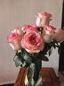 愛(ài)莎玫瑰10枝 曬單實(shí)拍圖