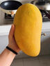 京地達海南金煌芒大芒果凈重4.5斤單果400g+當季新鮮水果源頭直發(fā)包郵 曬單實(shí)拍圖
