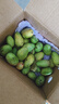 京喜加臺芒 芒果當季新鮮生鮮水果甜心熱帶現摘現發(fā) 帶箱4斤 單果100g+ 曬單實(shí)拍圖