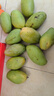 玖原農珍 源頭直采青皮金煌芒果當季現摘優(yōu)選甜心芒果 新鮮水果 含箱10斤凈果9斤現摘果 曬單實(shí)拍圖