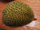趣嘗鮮貓山王榴蓮馬來(lái)西亞D197液氮冷凍凈重3.5-4.0斤/個(gè) 保4房 曬單實(shí)拍圖