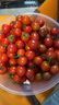 廣西正宗千禧圣女果小番茄現摘現發(fā)新鮮直達 帶箱4斤（凈重3.8斤）單果6g+ 曬單實(shí)拍圖
