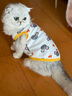 歡寵網(wǎng)寵物狗狗衣服貓咪貓小狗小貓泰迪比熊貓貓小型犬幼犬冬季保暖服飾 曬單實(shí)拍圖
