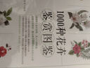 1000種花卉鑒賞圖鑒 植物專(zhuān)家王意成教你一眼分辨1000種花朵 曬單實(shí)拍圖