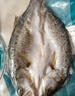 釣魚(yú)記開(kāi)背海鱸魚(yú)1斤-1.3斤 三去凈重 冷凍 生鮮 魚(yú)類(lèi) 海鮮水產(chǎn) 曬單實(shí)拍圖