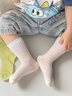 成長(cháng)寄寶寶襪子2026夏季薄款透氣網(wǎng)眼a類(lèi)棉嬰兒無(wú)骨男女童卡通嬰兒襪子 藍色+鼻涕狗+斑點(diǎn)狗+青蛙 【10A抗菌 無(wú)骨抗起球】 4雙 3-5歲 L碼（建議腳長(cháng)14-16CM） 曬單實(shí)拍圖