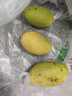 京鮮生云南新鮮玉芒 凈重8斤 單果200g＋ 新鮮芒果 源頭直發(fā)包郵 曬單實(shí)拍圖