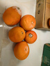 玖原農珍 源頭直采臍橙新鮮橙子含箱10斤凈重9斤優(yōu)選果150-300g 水果禮盒 曬單實(shí)拍圖