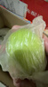 福建大青棗牛奶青棗脆甜冬棗新鮮水果清甜脆爽應季蜜棗冬棗現摘 帶箱5斤大果 單果70-120g 曬單實(shí)拍圖