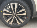 玲瓏輪胎汽車(chē)輪胎215/55R18 99V XL 玲瓏臻選 SD 適配逍客/傳祺GS4/東南DX 曬單實(shí)拍圖