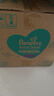 幫寶適（Pampers）清新幫拉拉褲嬰兒尿不濕紙尿褲彈力褲 XXXL64【清新幫拉拉褲】 曬單實(shí)拍圖
