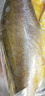 三都港 冷凍三去黃花魚(yú)2斤/2條裝 寧德大黃魚(yú) 深海魚(yú) 生鮮魚(yú)類(lèi) 海鮮 曬單實(shí)拍圖