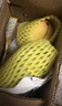 京鮮生海南金煌芒 芒果凈重3斤裝單果200g起源頭直發(fā) 曬單實(shí)拍圖