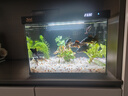 森森金麟超白玻璃魚(yú)缸一體缸自循環(huán)客廳小型LEA-380黑色 曬單實(shí)拍圖