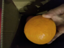 京覓正宗奉節臍橙地標水果 凈重8斤 單果285g+ 生鮮水果 源頭直發(fā) 曬單實(shí)拍圖